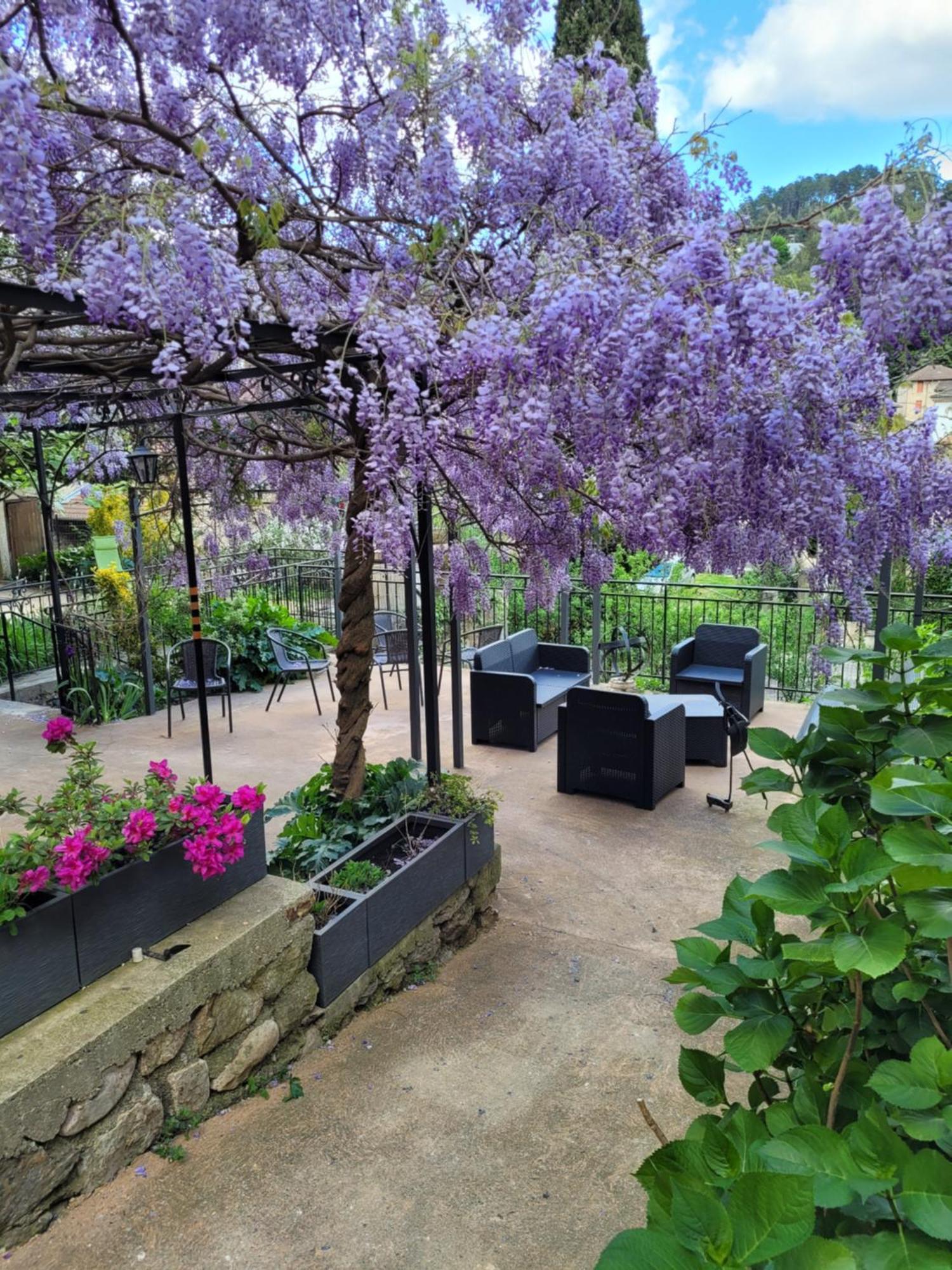 Hotel Restaurant Les Touristes Vals-les-Bains Eksteriør billede