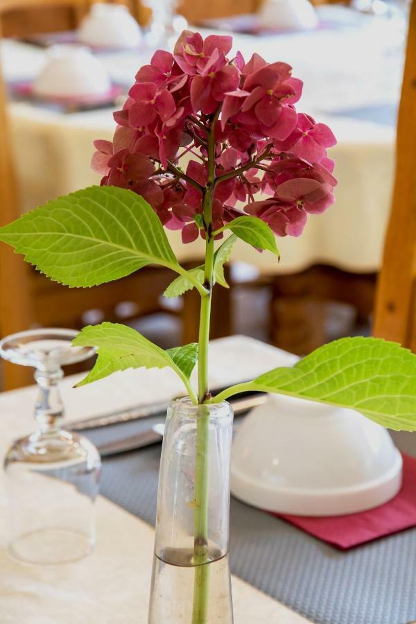 Hotel Restaurant Les Touristes Vals-les-Bains Eksteriør billede